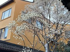 -龙华寺