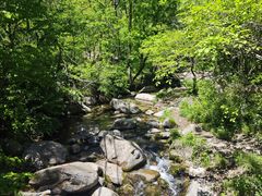 -玉渡山自然风景区