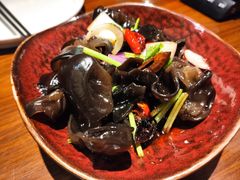 酸辣有机木耳-眉州东坡·熊猫主题餐厅(枫蓝店)