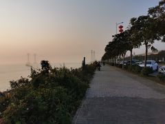 -宝安西湾红树林湿地公园