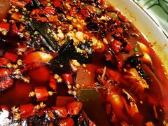 毛血旺-雲蜀龙阁·金牌水煮鱼(方庄店)