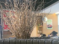 -禾珍珠家常小馆(河南博物院店)