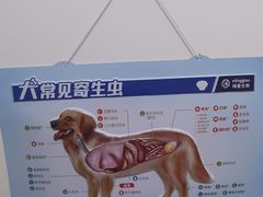 -瑞派康怡24h宠物医院·犬猫医疗中心·微创绝育(瑞景分院)