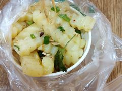 -周小亮丁家坡洋芋(全国总店)