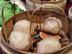 -金鼎轩(亚运村店)