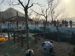 -西霞口神雕山野生动物世界