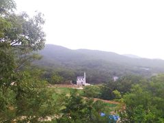 -金石滩蓝莓谷庄园