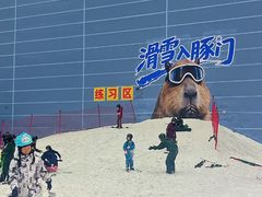 -广州热雪奇迹