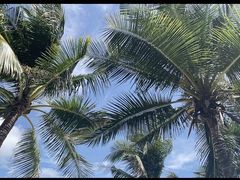 -三亚太阳湾柏悦酒店