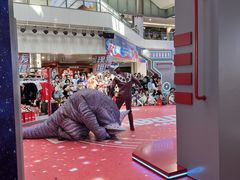 -鹏欣水游城