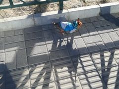 -白石桥南(地铁站)