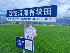 -大理洱海