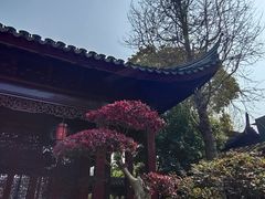 -檀园