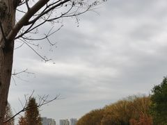 -昆山城市生态森林公园