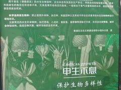 -上海书城(福州路店)