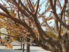 -栖露营camping·天幕烧烤·团建拓展·采摘营地