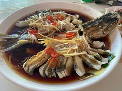 -煲来饱去冷水鱼
