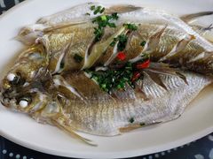 -太湖好灶头土菜馆(石公路店)