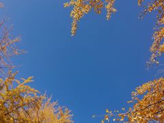 -辽宁大学(崇山校区)