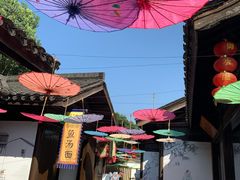 -天目湖山水园