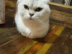 -MIKAKU(万达广场上海宝山店)