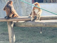 -杭州野生动物世界