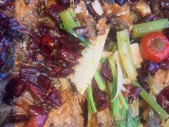 -老板恋上鱼(恒隆广场店)