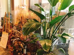 -植物学家的女儿(北马道巷店)