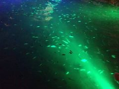 -宝丽金大酒店·洗浴中心
