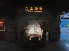 -国家自然博物馆