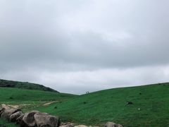 -大姆山草场
