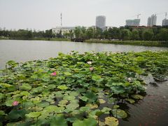 -西海子公园