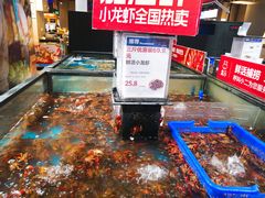 水产区-盒马鲜生(曜一城店)
