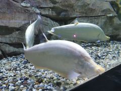 -石林冰雪海洋世界