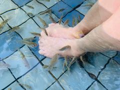 -江门古兜温泉小镇