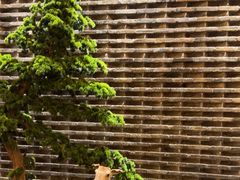 -健眺小海鲜(临海后山店)