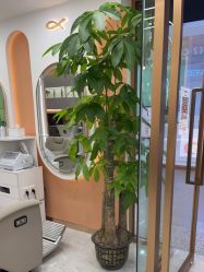 -希梵尔头皮抗衰·科技养发