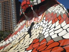 -亚马逊丛林水乐园