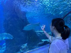 -太平洋海底世界