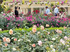 -人民公园(罗湖区)