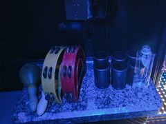 -酷秀KTV(五道口店)