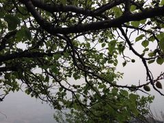 -北京鹫峰国家森林公园