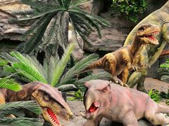 -国家自然博物馆