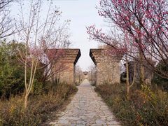 -广富林郊野公园