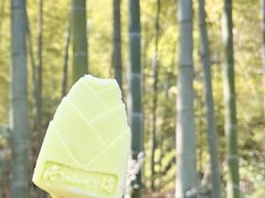 -镇江市南山风景名胜区竹林景区