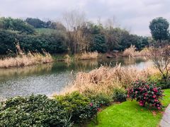 -天目湖涵田半山温泉