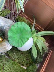 点击看大图 -禾壹净·素颜美问题肌肤修护中心