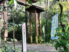 -鼎湖山风景区