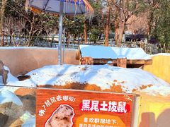 -合肥野生动物园