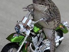 -阪尚皇·原切牛排·烤肉火锅自助(北京路店)